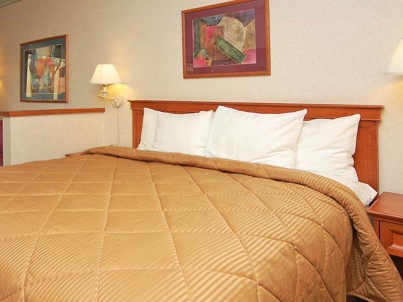 Comfort Inn & Suites San Francisco Airport North South San Francisco Kültér fotó